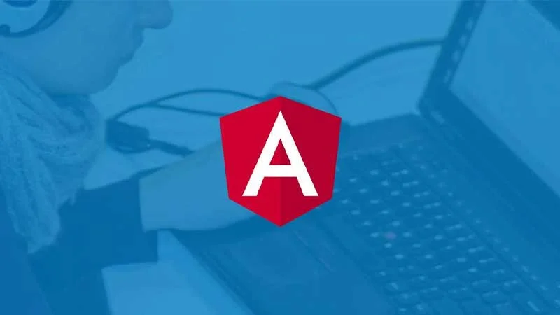 ANGULAR DEVELOPER