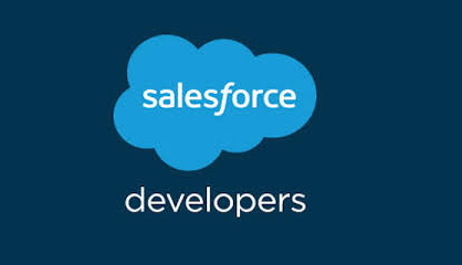 SALES FORCE DEVELOPERS